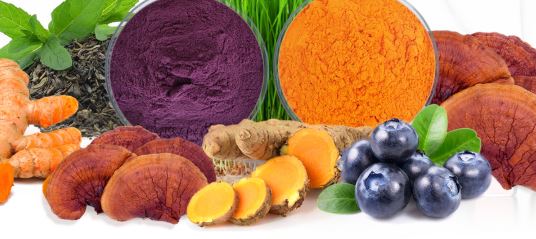 product-1-1 Plant extract manufacturers