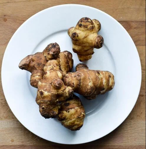 jerusalem artichoke inulin side effects jerusalem artichoke inulin side effects