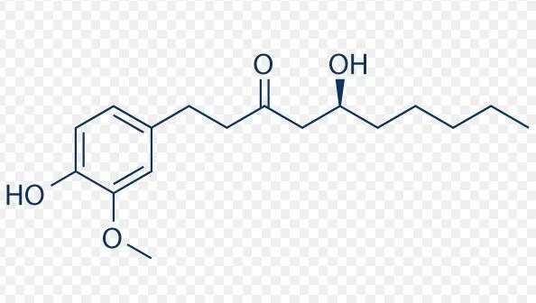 6-gingerol