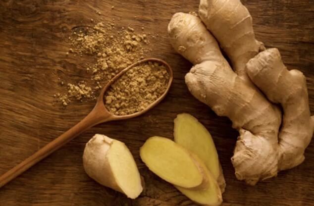 What is gingerol used for
