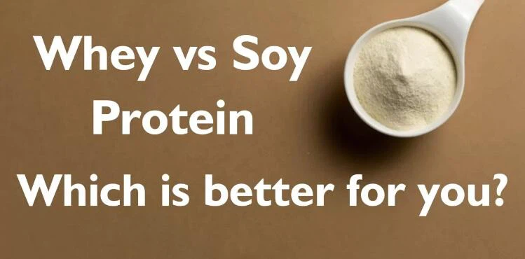 Which is better soy protein or whey-1