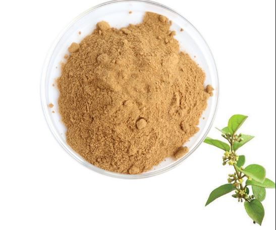 gymnema sylvestre leaf extract