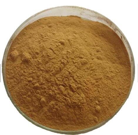 white oak extract
