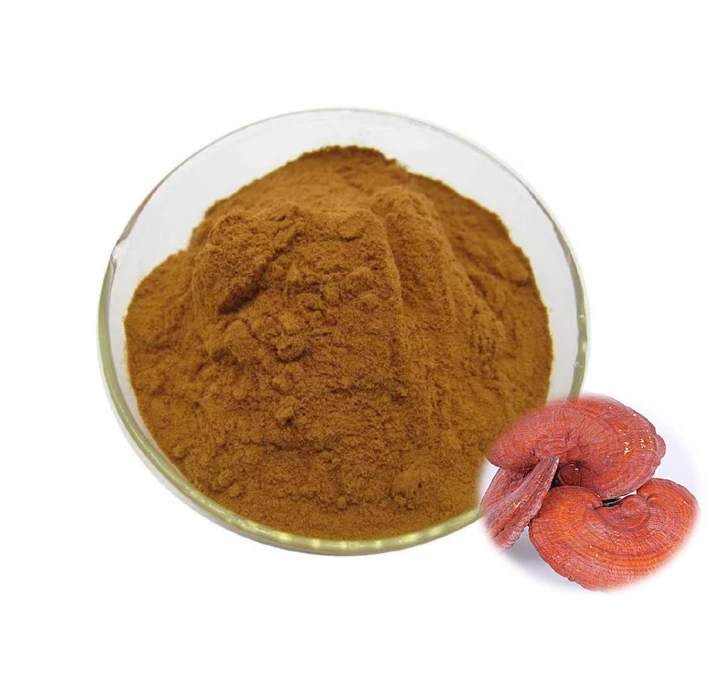 Extracte de bolets Reishi vermell