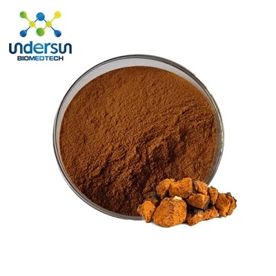 Chaga ecològica en pols de bolets