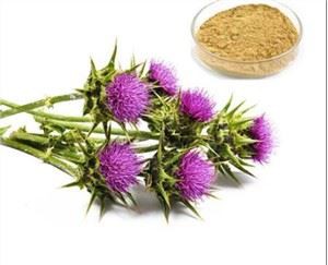 Extracte estandarditzat de card de llet