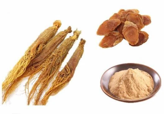 Pols de ginseng vermell