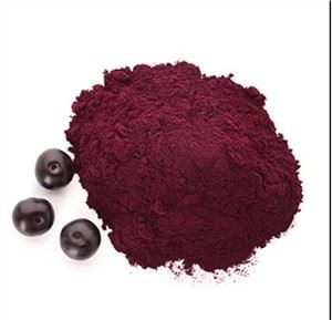 Acai a granel en pols