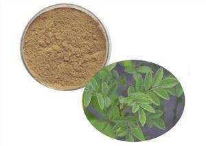 Pols d'arrel de Derris