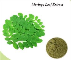 Extracte de fulla moringa