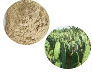 Pols de cactus Nopal cru