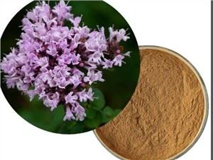 Extracte de farigola
