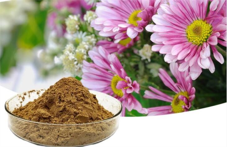 Extracte de Super Echinacea