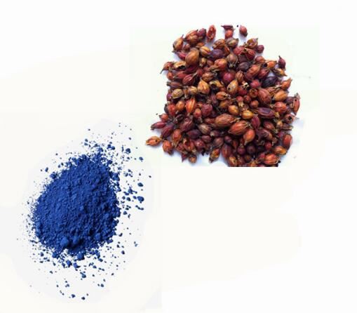 Extracte blau de gardenia