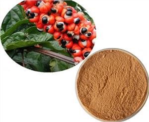 Extracte de llavors de Paullinia Cupana