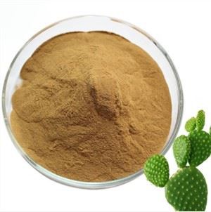 Prickly Pera en pols