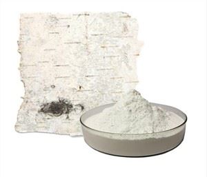 Extracte d'escorça de bedoll blanc