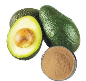 Fruites i verdures en pols